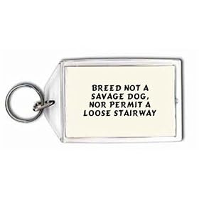 Breed not a savage dog, nor permit a loose stairway Keychain