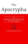 NRSV Apocrypha Text Edition Orange Hardcover NRA0 (Bible Nrsv)