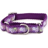 PetSafe Fido Finery Martingale-Style Dog Collar, 1-Inch, Medium, Randomness
