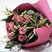 �y��ꉀ�|�z�Z���N�g���[�Y�ԑ��u�n���E�B���v