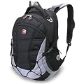 SwissGear Computer Backpack (Black/Light Gray)
