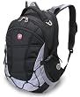 SwissGear Computer Backpack