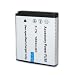 FUJI NP-50 / NP50 Equivalent Replacement Li Ion Battery for Fuji FinePix F100fd / F50fd / F60fd / F200EXR / F70EXR / F75EXR and More Digital Cameras **Includes Accessory Bag & 3 Year Warranty