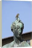 Statue of Neptune on the Piazza della Signoria - 20 Inch Canvas Print (51 cm) by Robert Harding