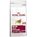 Royal Canin 55113 Fit 32, 10 kg- Katzenfutter