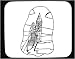 Decorated Mouse Pad with