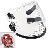 Face Shield
