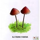 Mushroom Jazz, Vol. 2 by Mark Farina