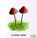 Mushroom Jazz, Vol. 2