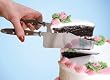 Debbie Meyer's kake-kut'r&reg;; V-shaped; The Bistro handle style