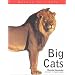 Big Cats (Nature Fact Files)
