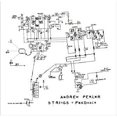 Strings and Feedback