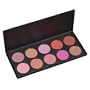 Coastal Scents 10 Piece Professional Blush Palette