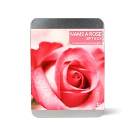 Gift Republic Personalise IT Name a Rose