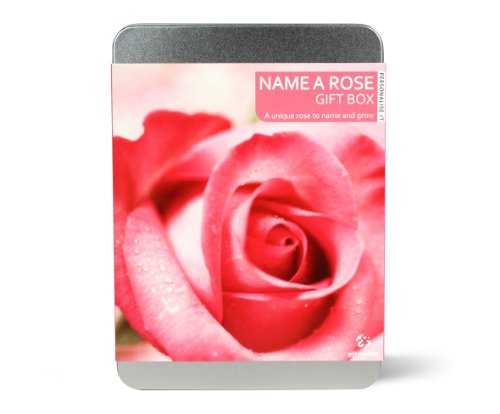 Gift Republic Name a Rose Gift Box. Grow and Name Your Own Rose