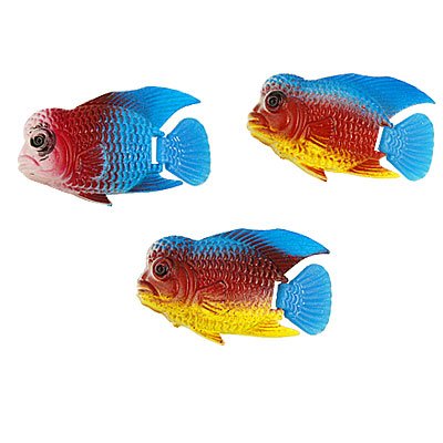 Aquarium Blue Yellow