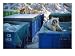 A Young Grizzly Scavenges Through a Dumpster Near Deadhorse, Alaska Animals Photographic Poster Print by Joel Sartore, 24x18
