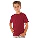 Anvil Youth Organic Cotton Ringspun Fashion Fit T-shirt