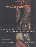 Small Is Beautiful
