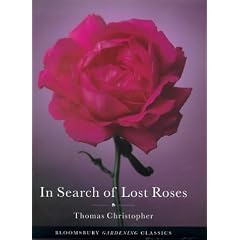 In Search of Lost Roses