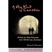 Recommended popular books on the Emerging Church