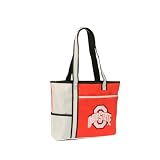Ohio State Cooler / Tote Bag (Measures 14" x 11" x 5")