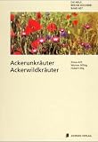 Produkt-Bild: Ackerunkr&auml;uter - Ackerwildkr&auml;uter