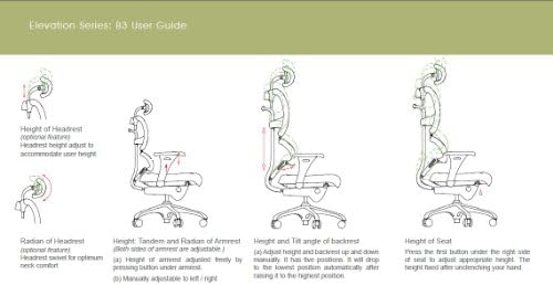 Like Ergohuman Executive Chair With Headrest (Mesh Seat and Back)