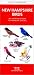 Book New Hampshire Birds