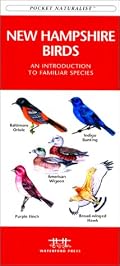 New Hampshire Birds