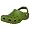 Parrot Green