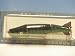 **C.C. Roberts ** Super Mud Puppy - River Model - Green Perch