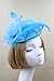 Vimans Women's Handmade Flowers Feather Headwear Hat Fascinator with Headband