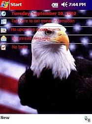 Patriotic Eagle Today Theme