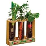 Toys : Root Viewer Growing Kit