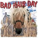 Bad Hair Day~horse Adult T-Shirt