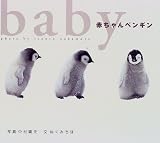 赤ちゃんペンギン (フォトルピナス)