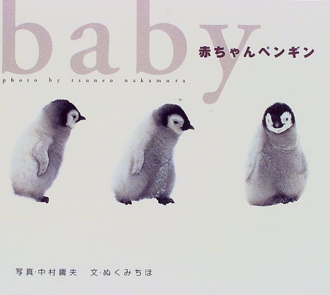 赤ちゃんペンギン (フォトルピナス)