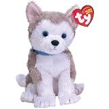 TyJuneau-Dog