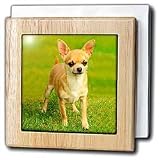 Dogs Chihuahua - Chihuahua - Tile Napkin Holders