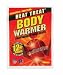 Heat Treat Body Warmer 40 Pack