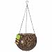 Gardman 9-inch Water Hyacinth Ball Basket with Holes
