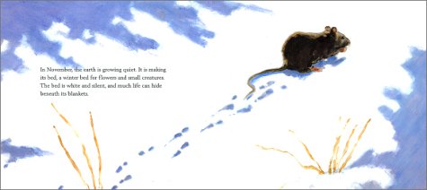 Cover image : In November