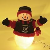 Houston Texans 16" Fiber Optic Snowman