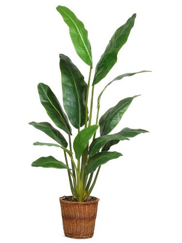 Travellers Silk Palm Tree 4.5'