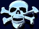 Chrome Skull & Cross Bones Belt Buckle full dwt
