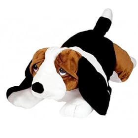 60cm  Basset Hound