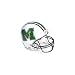 Marshall Thundering Herd Full Size Authentic ProLine NCAA Helmet by Riddell