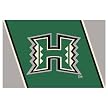 University of Hawaii Rug - Green/ Gray (Rectangle)