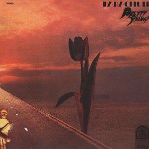 Rare Earth Parachute [Vinyl LP]